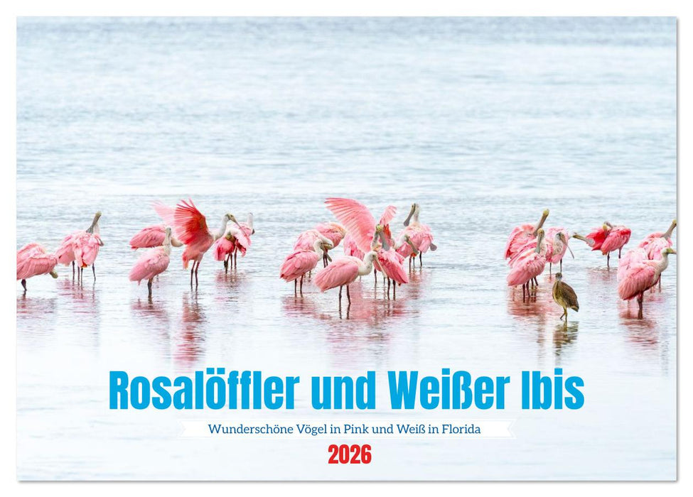 Rosalöffler und weißer Ibis (CALVENDO Wandkalender 2026)
