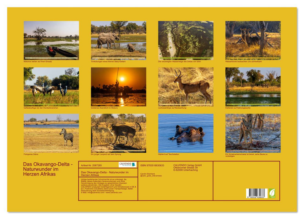 Das Okavango-Delta - Naturwunder im Herzen Afrikas (CALVENDO Wandkalender 2026)