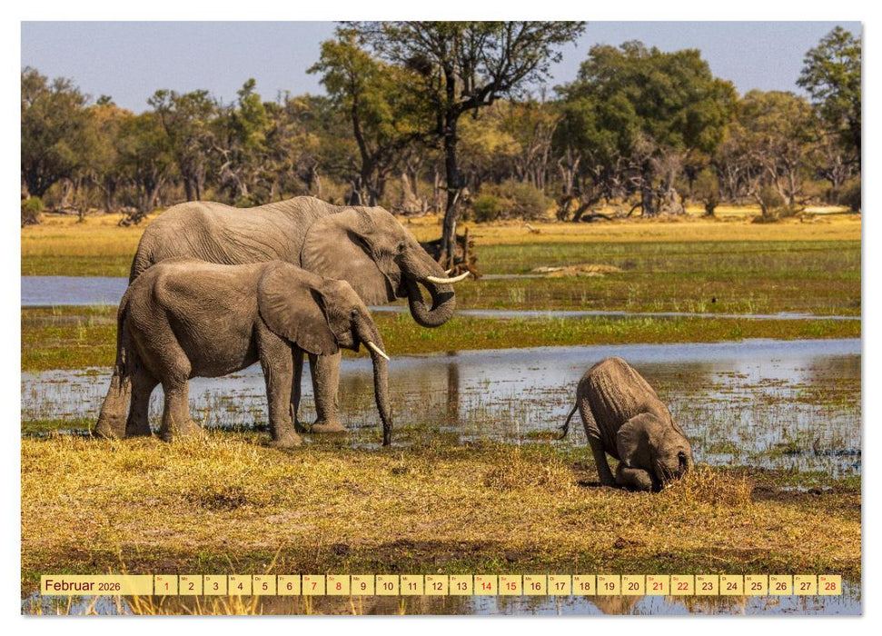 Das Okavango-Delta - Naturwunder im Herzen Afrikas (CALVENDO Wandkalender 2026)