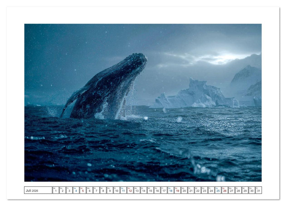 Die letzte Fahrt der Sturmkrähe (CALVENDO Premium Wandkalender 2026)