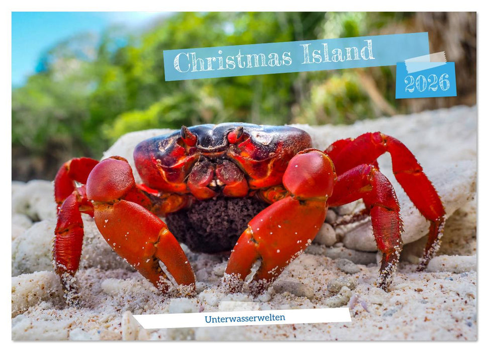 Unterwasserwelt Christmas Island (CALVENDO Wandkalender 2026)