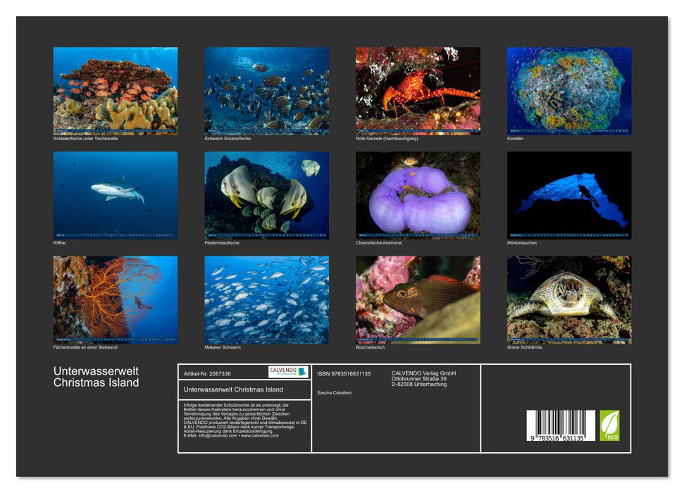 Unterwasserwelt Christmas Island (CALVENDO Wandkalender 2026)