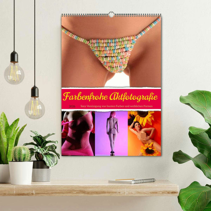 Farbenfrohe Aktfotografie (CALVENDO Wandkalender 2026)