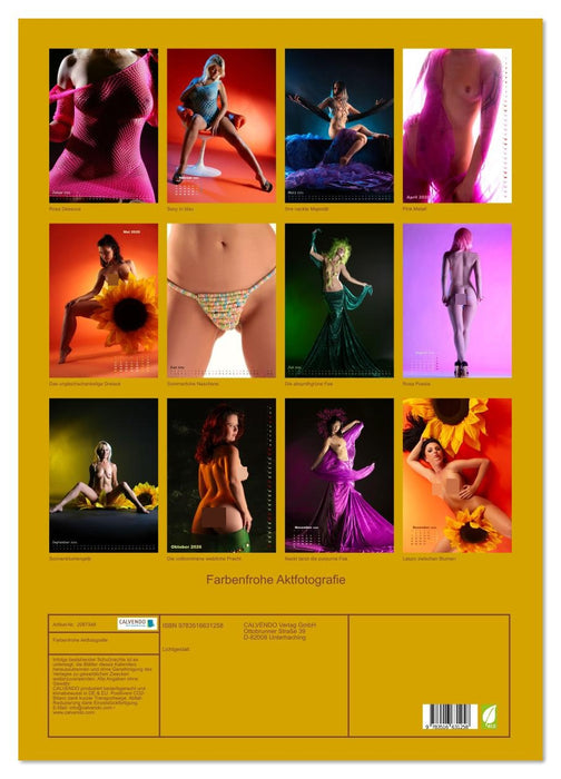 Farbenfrohe Aktfotografie (CALVENDO Wandkalender 2026)