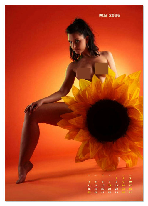 Farbenfrohe Aktfotografie (CALVENDO Wandkalender 2026)