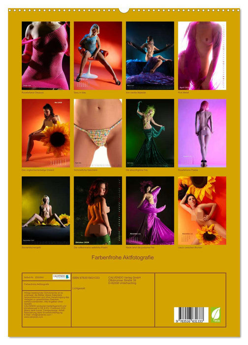 Farbenfrohe Aktfotografie (CALVENDO Premium Wandkalender 2026)