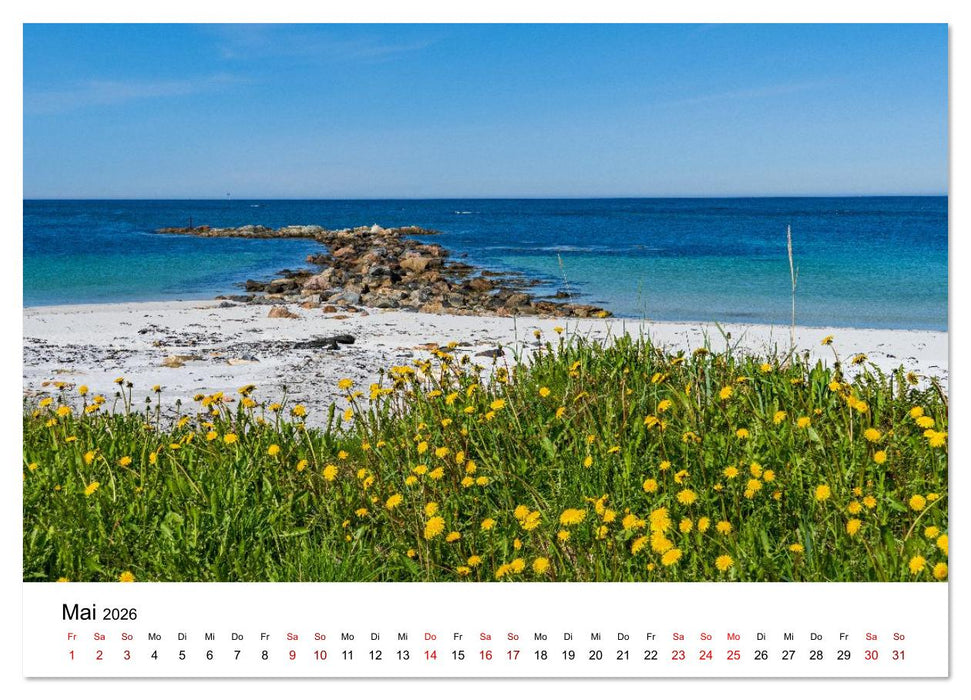 Inseln im Nordmeer - Lofoten-Andøya-Senja (CALVENDO Premium Wandkalender 2026)