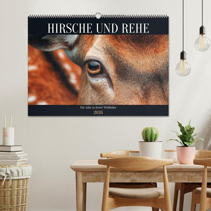 HIRSCHE UND REHE - Ein Jahr in freier Wildbahn (CALVENDO Wandkalender 2026)