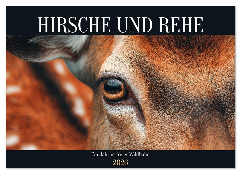 HIRSCHE UND REHE - Ein Jahr in freier Wildbahn (CALVENDO Wandkalender 2026)