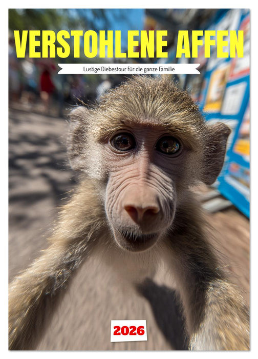 Verstohlene Affen - Lustige Diebestour für die ganze Familie (CALVENDO Wandkalender 2026)
