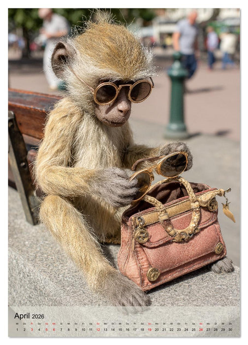 Verstohlene Affen - Lustige Diebestour für die ganze Familie (CALVENDO Wandkalender 2026)