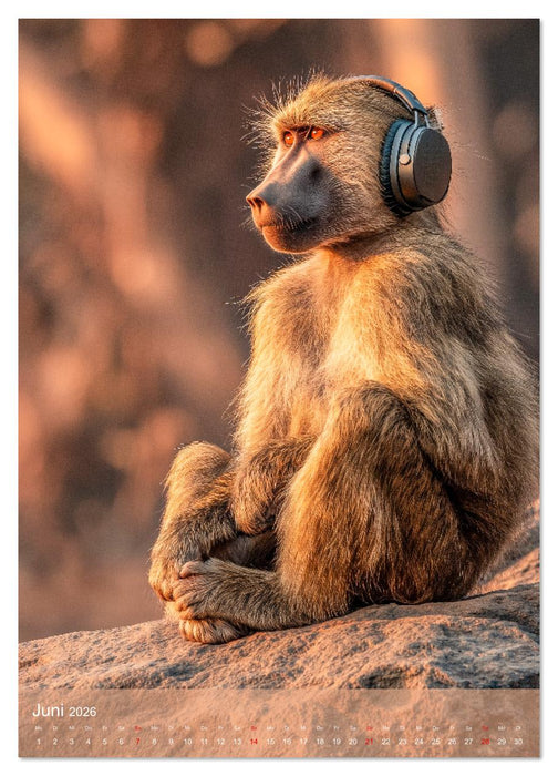 Verstohlene Affen - Lustige Diebestour für die ganze Familie (CALVENDO Wandkalender 2026)