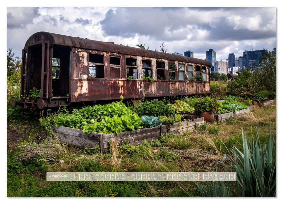 Der morbide Charme (CALVENDO Wandkalender 2026)