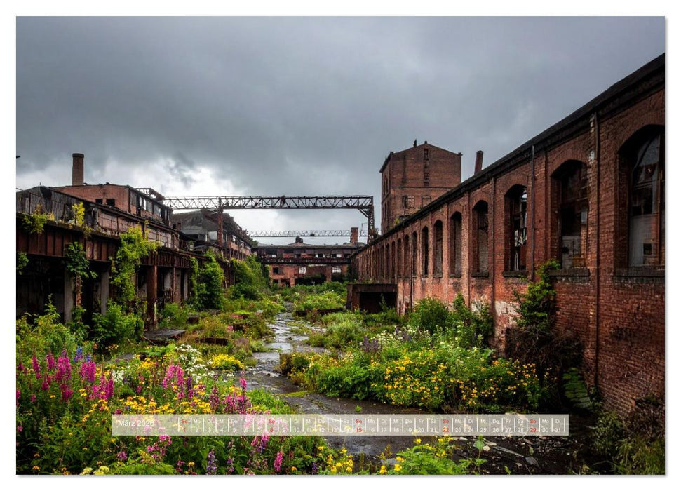 Der morbide Charme (CALVENDO Premium Wandkalender 2026)