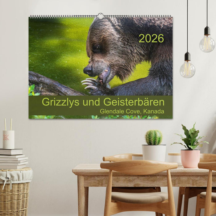Grizzlys und Geisterbären - Glendale Cove, Kanada (CALVENDO Wandkalender 2026)