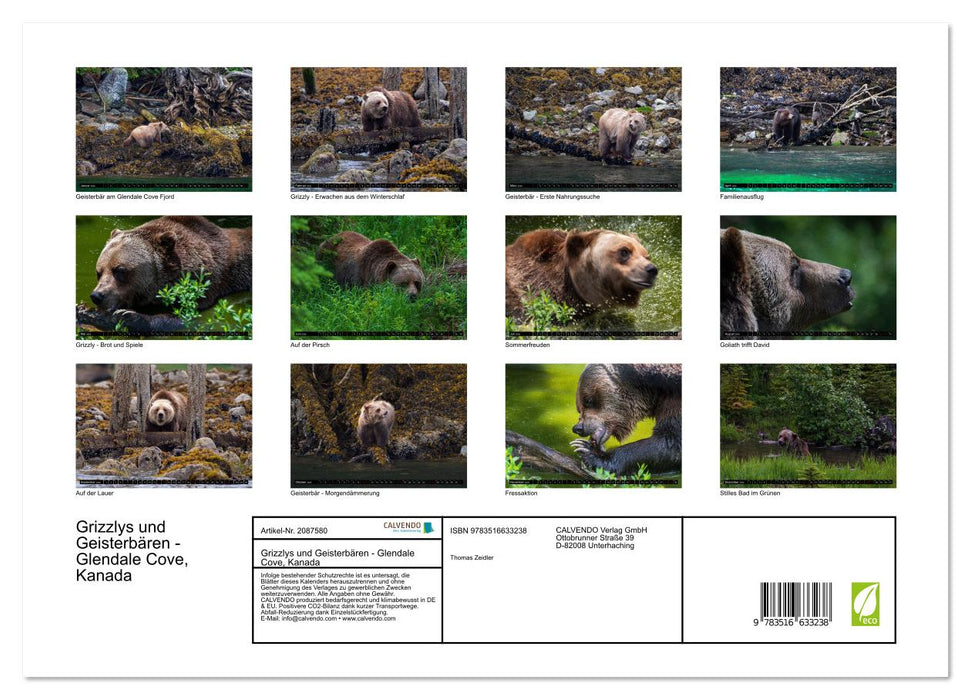 Grizzlys und Geisterbären - Glendale Cove, Kanada (CALVENDO Premium Wandkalender 2026)