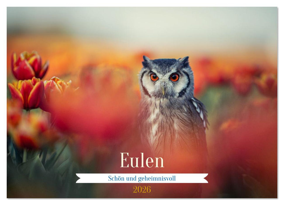 Eulen - schön und geheimnisvoll (CALVENDO Wandkalender 2026)