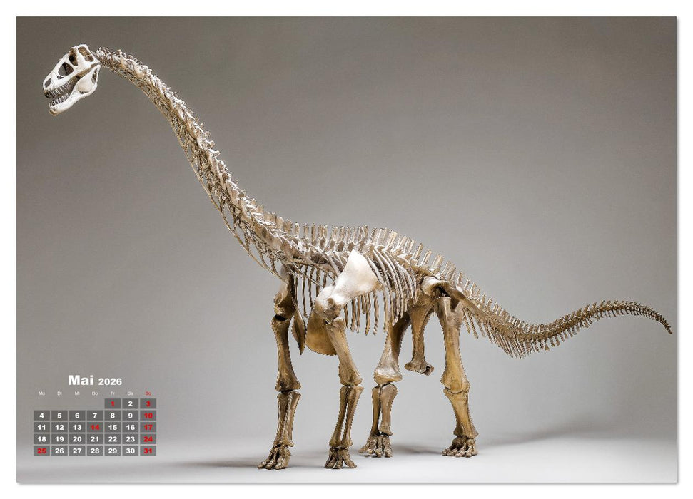 Knochen der Giganten - Dinosaurier im Porträt (CALVENDO Premium Wandkalender 2026)