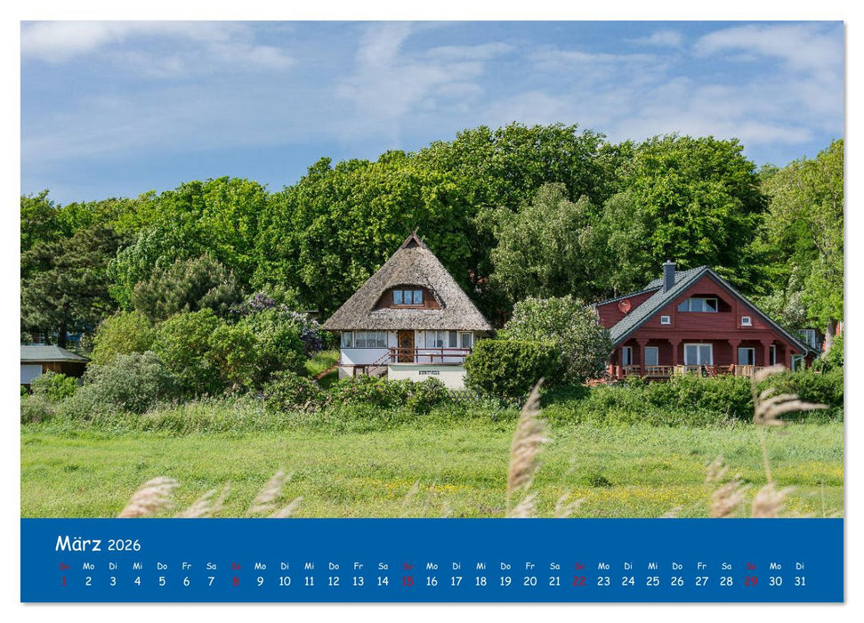 Besuch auf Hiddensee (CALVENDO Wandkalender 2026)