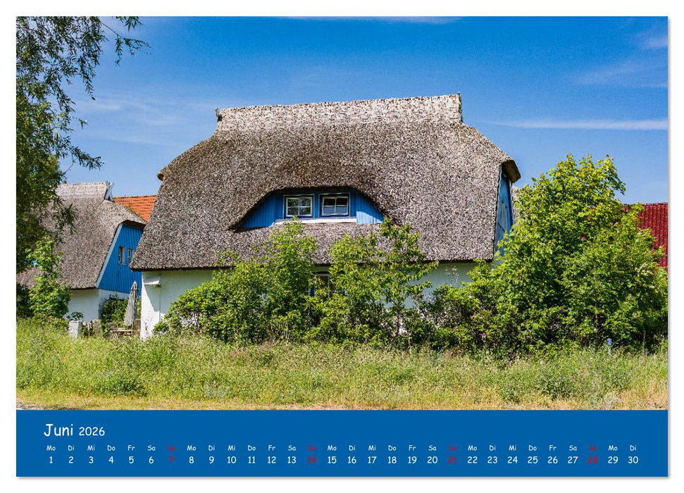 Besuch auf Hiddensee (CALVENDO Wandkalender 2026)