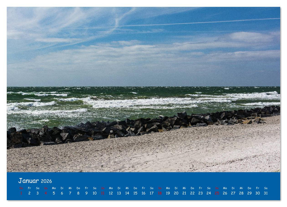 Besuch auf Hiddensee (CALVENDO Premium Wandkalender 2026)