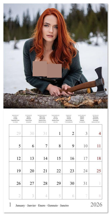 Charm of the Alps (CALVENDO Monthly Calendar 2026)