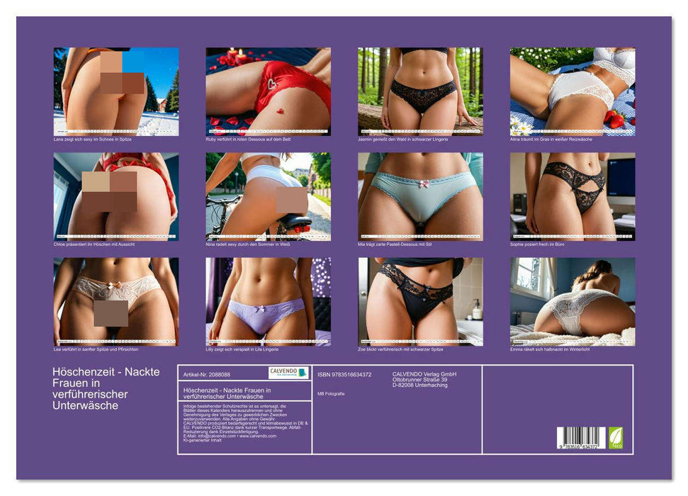 Höschenzeit - Nackte Frauen in verführerischer Unterwäsche (CALVENDO Wandkalender 2026)