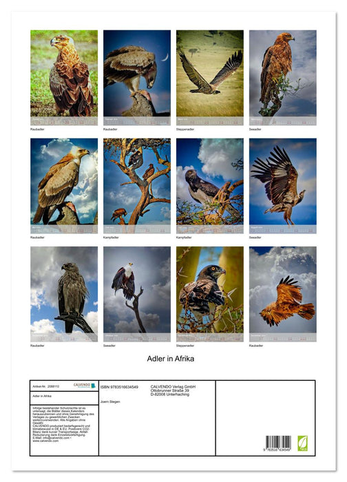 Adler in Afrika (CALVENDO Wandkalender 2026)