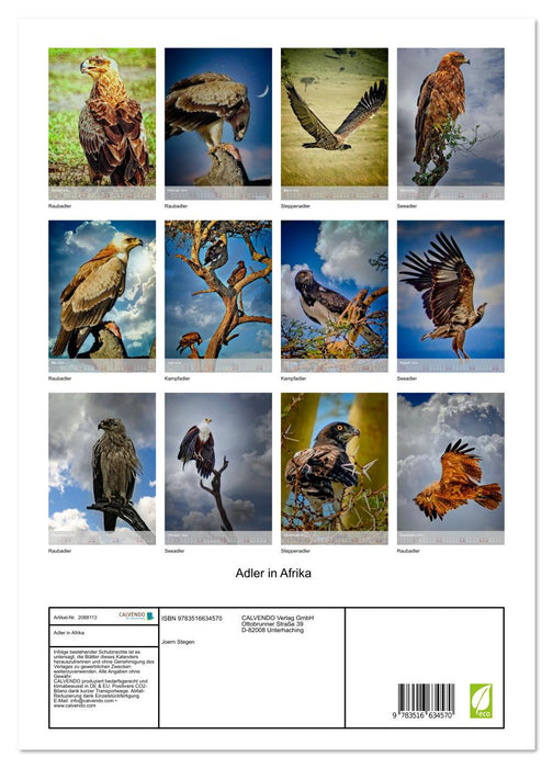 Adler in Afrika (CALVENDO Premium Wandkalender 2026)