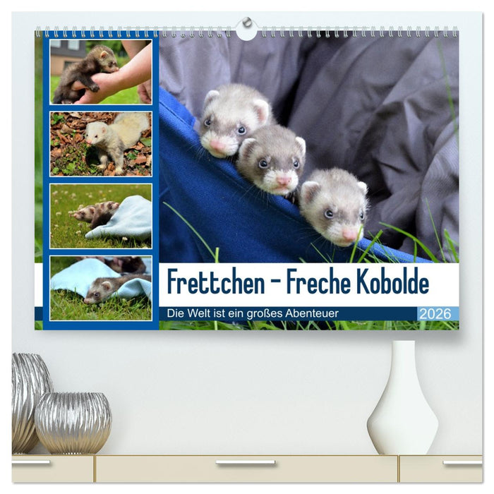 Frettchen - Freche Kobolde (CALVENDO Premium Wandkalender 2026)