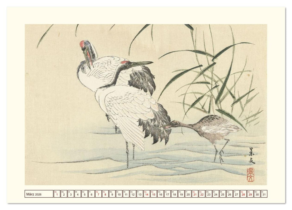 Blüte und Feder (CALVENDO Wandkalender 2026)