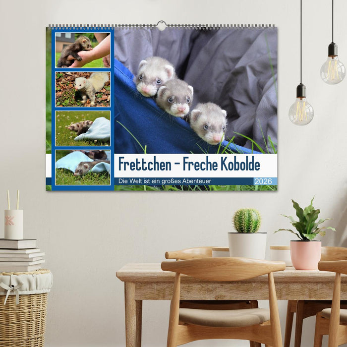 Frettchen - Freche Kobolde (CALVENDO Wandkalender 2026)