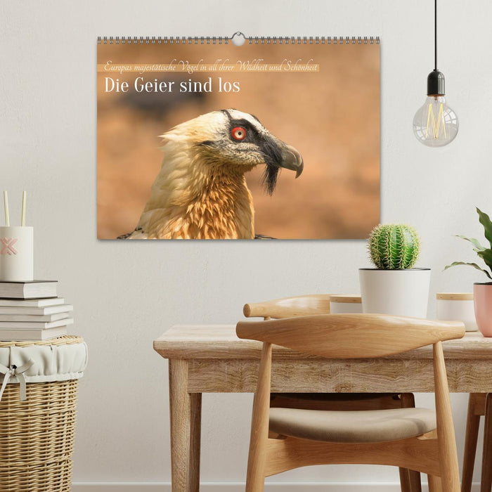 Die Geier sind los (CALVENDO Wandkalender 2026)
