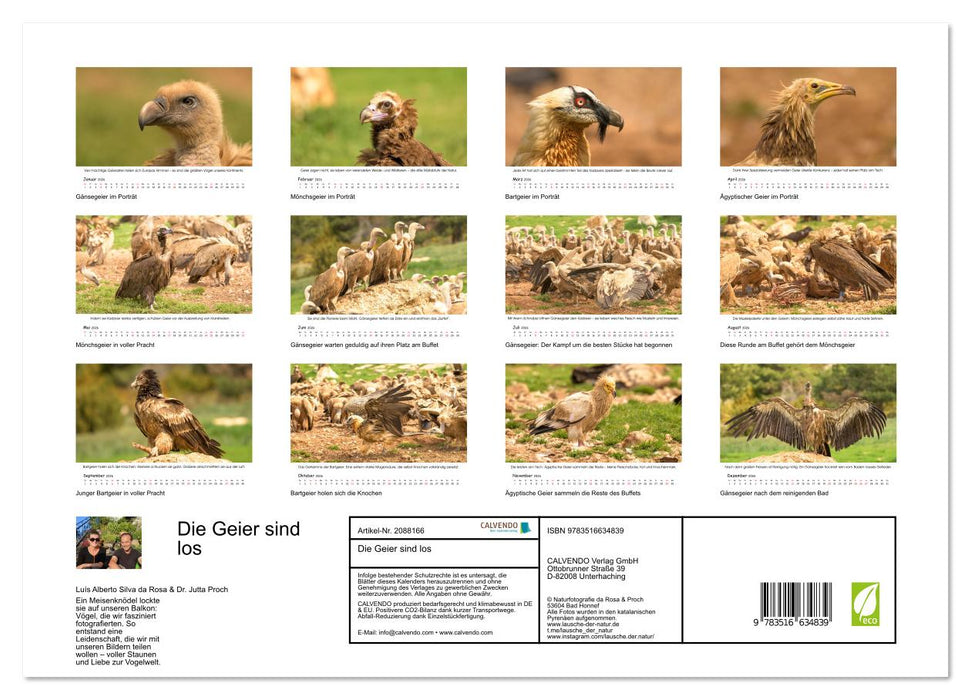 Die Geier sind los (CALVENDO Wandkalender 2026)