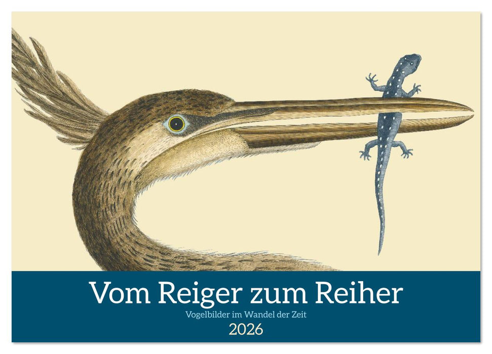 Vom Reiger zum Reiher (CALVENDO Wandkalender 2026)