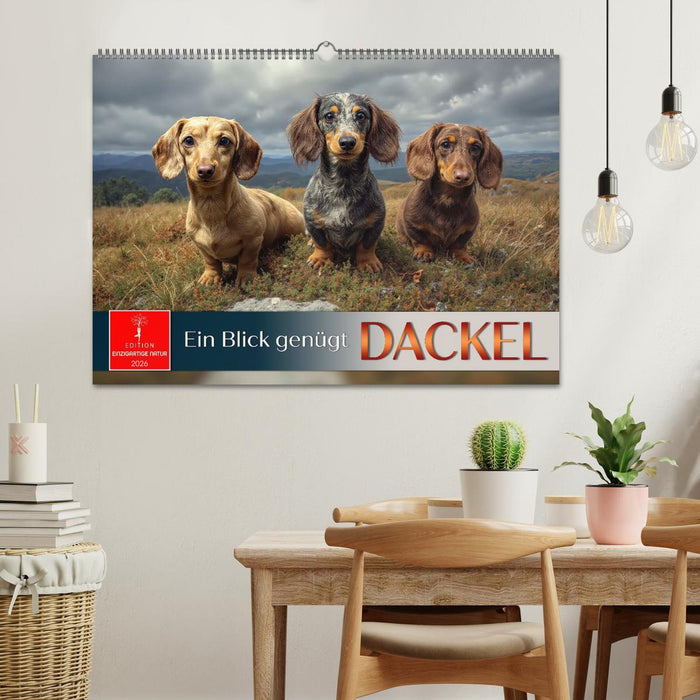 Dackel - ein Blick genügt (CALVENDO Wandkalender 2026)