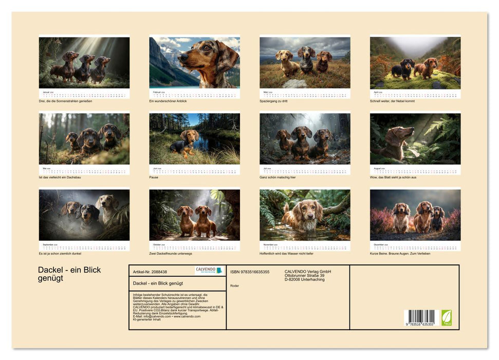 Dackel - ein Blick genügt (CALVENDO Wandkalender 2026)
