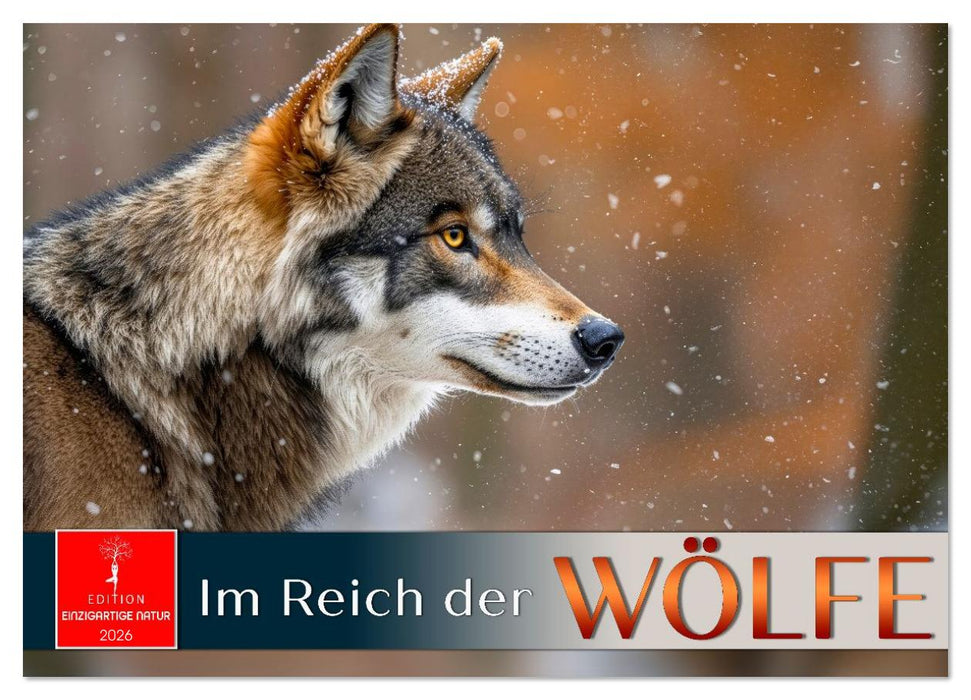 Im Reich der Wölfe (CALVENDO Wandkalender 2026)