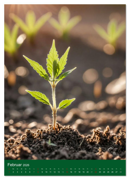 Grow your Year - Der Cannabis Kalender für Fans und Grower (CALVENDO Wandkalender 2026)
