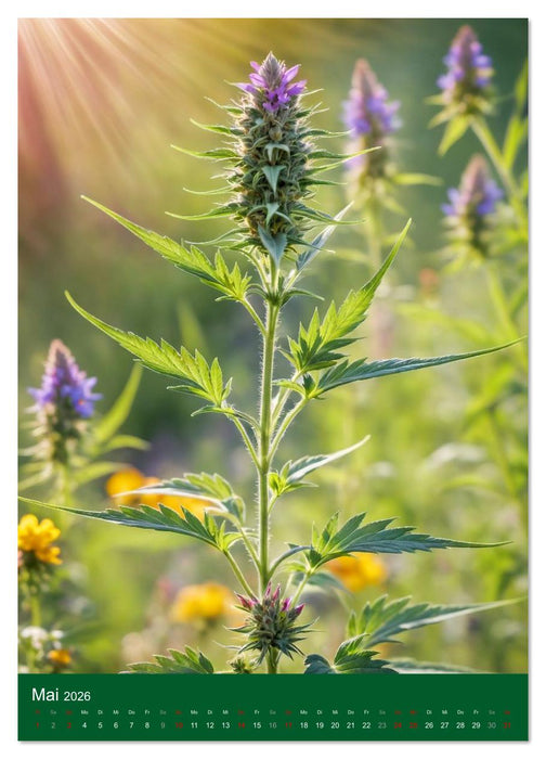 Grow your Year - Der Cannabis Kalender für Fans und Grower (CALVENDO Premium Wandkalender 2026)