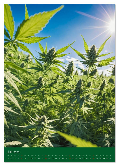 Grow your Year - Der Cannabis Kalender für Fans und Grower (CALVENDO Premium Wandkalender 2026)