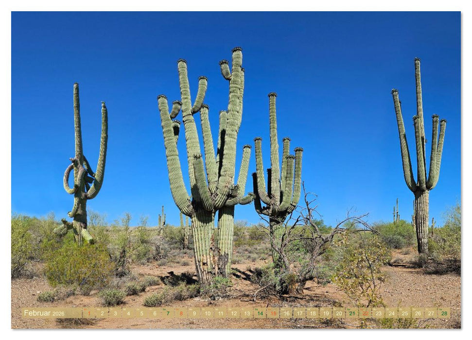 Discover the West (CALVENDO Wandkalender 2026)