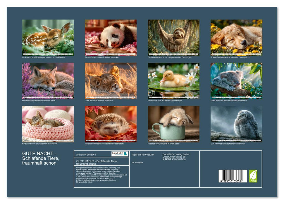 GUTE NACHT - Schlafende Tiere, traumhaft schön (CALVENDO Premium Wandkalender 2026)