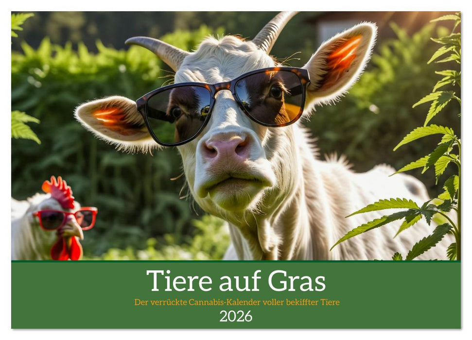 Tiere auf Gras - Der verrückte Cannabis-Kalender voller bekiffter Tiere (CALVENDO Wandkalender 2026)
