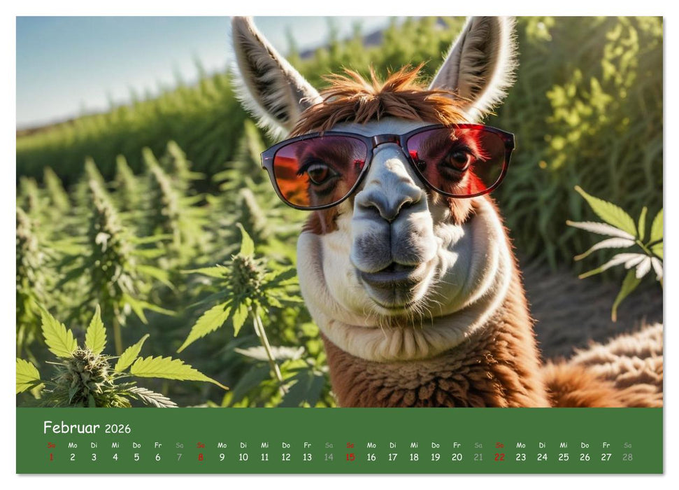 Tiere auf Gras - Der verrückte Cannabis-Kalender voller bekiffter Tiere (CALVENDO Wandkalender 2026)