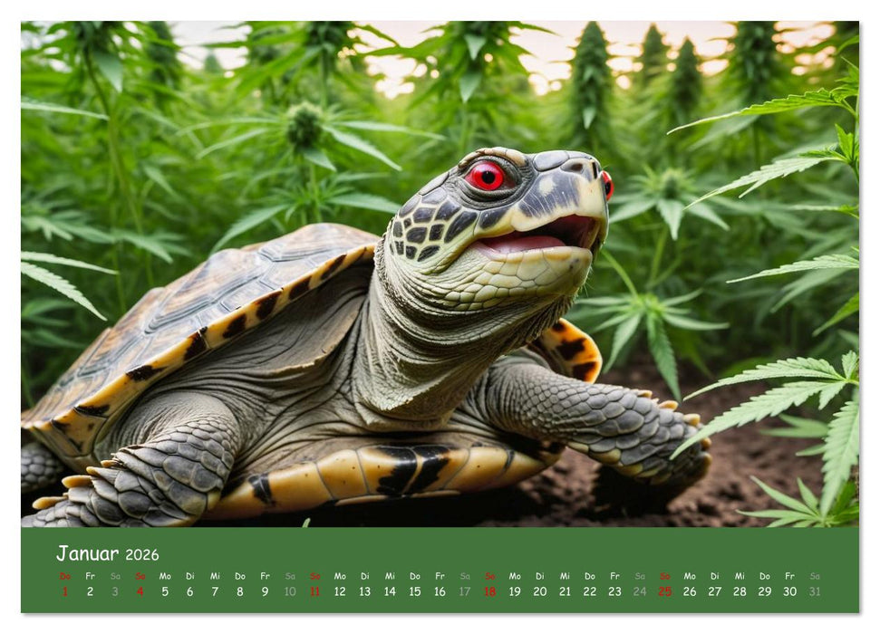 Tiere auf Gras - Der verrückte Cannabis-Kalender voller bekiffter Tiere (CALVENDO Premium Wandkalender 2026)