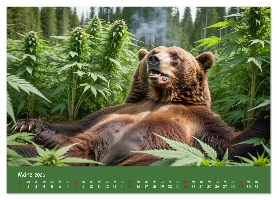 Tiere auf Gras - Der verrückte Cannabis-Kalender voller bekiffter Tiere (CALVENDO Premium Wandkalender 2026)