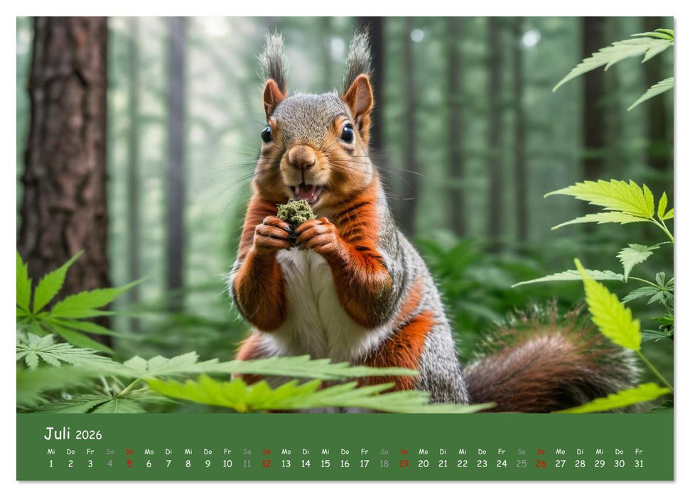 Tiere auf Gras - Der verrückte Cannabis-Kalender voller bekiffter Tiere (CALVENDO Premium Wandkalender 2026)