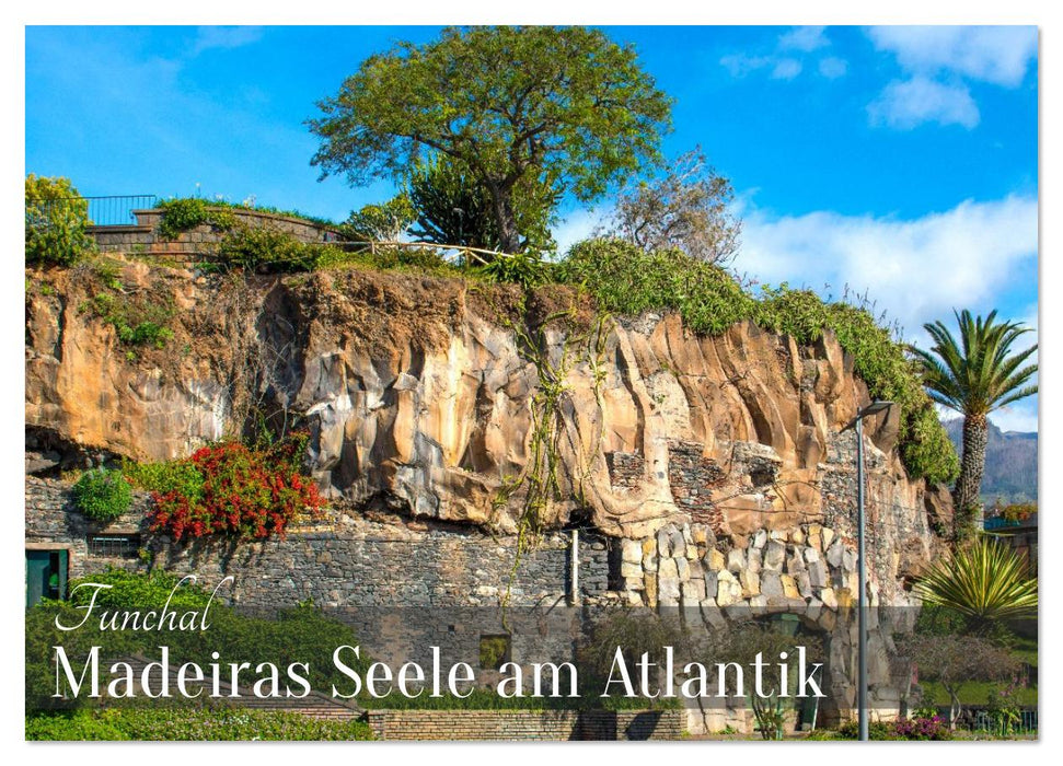 Funchal – Madeiras Seele am Atlantik (CALVENDO Wandkalender 2026)