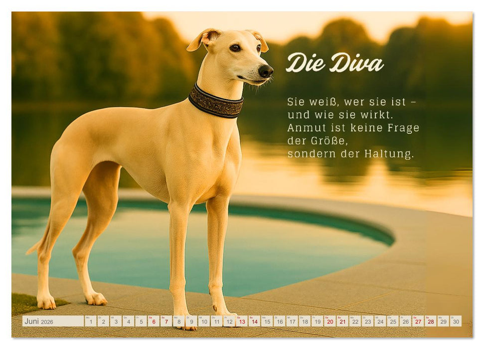 Hunde mit Charakter (CALVENDO Wandkalender 2026)